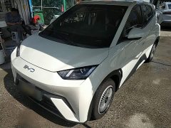 BYD Seagull Glory Edition 305km Vitality Version - ფოტო 1