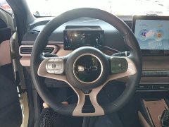 BYD Seagull Glory Edition 305km Vitality Version - ფოტო 10