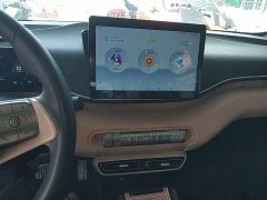 BYD Seagull Glory Edition 305km Vitality Version - ფოტო 12