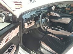 BYD Seagull Glory Edition 305km Vitality Version - ფოტო 15
