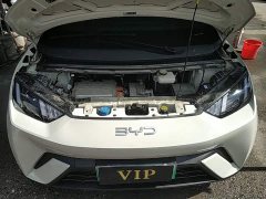 BYD Seagull Glory Edition 305km Vitality Version - ფოტო 19
