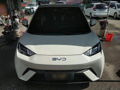 BYD Seagull Glory Edition 305km Vitality Version - ფოტო 2
