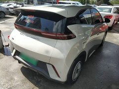 BYD Seagull Glory Edition 305km Vitality Version - ფოტო 6