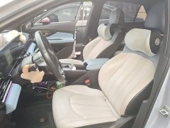 Trumpchi Shadow Leopard Shadow Leopard H Intelligent Hybrid Edition - photo 16