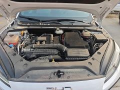 BYD Seal 06 DM-i 80KM Luxury - photo 19