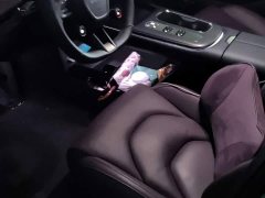 Xiaomi SU7 Rear-Wheel Drive Long Range Smart Driving Edition - ფოტო 6