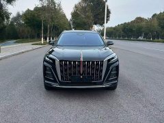 FAW Red Flag HS3 PHEV 125km Jingwei 2 Million Units Anniversary Edition - фото 5