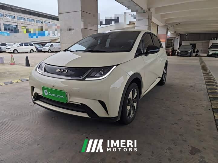 BYD Dolphin 420km Freedom Edition