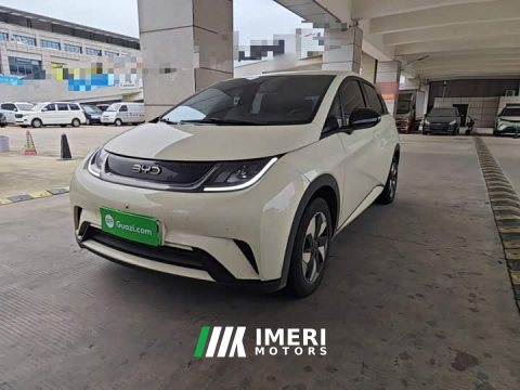2026 BYD Dolphin 420km Freedom Edition - car from China
