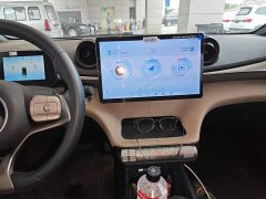 BYD Dolphin 420km Freedom Edition - ფოტო 12