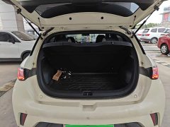 BYD Dolphin 420km Freedom Edition - ფოტო 18