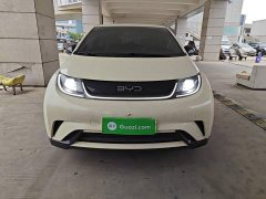 BYD Dolphin 420km Freedom Edition - ფოტო 2