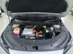 GAC AION S Plus 70 Joy Edition LFP - photo 19