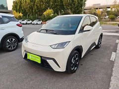 BYD Seagull 305km Freedom Edition - ფოტო 1