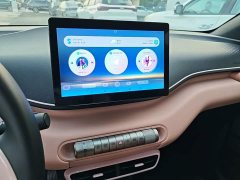 BYD Seagull 305km Freedom Edition - ფოტო 12