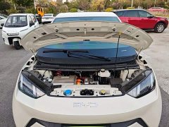BYD Seagull 305km Freedom Edition - ფოტო 19