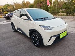BYD Seagull 305km Freedom Edition - ფოტო 3