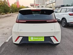 BYD Seagull 305km Freedom Edition - ფოტო 5