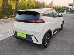 BYD Seagull 305km Freedom Edition - ფოტო 6