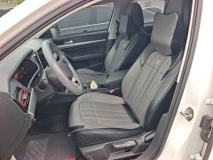 Volkswagen Lavida 300TSI DSG Starry Sky Full-Featured Edition - фото 14