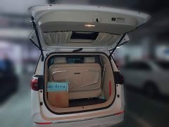 Buick GL8 ES Luxe Comfort - ფოტო 20