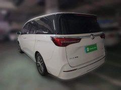 Buick GL8 ES Luxe Comfort - ფოტო 4