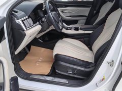 BYD Song Plus New Energy Champion Edition EV 605KM Flagship Plus - фото 6