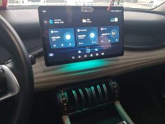 BYD Yuan Plus Glory Edition 430KM Leading - ფოტო 12