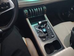 BYD Yuan Plus Glory Edition 430KM Leading - ფოტო 13
