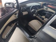 BYD Yuan Plus Glory Edition 430KM Leading - ფოტო 15