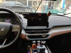 FAW Hongqi E-QM5 610km PLUS - ფოტო 13