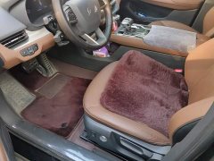 FAW Hongqi E-QM5 610km PLUS - ფოტო 9