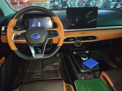 BYD e2 Luxury - ფოტო 10