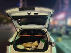 BYD e2 Luxury - ფოტო 20
