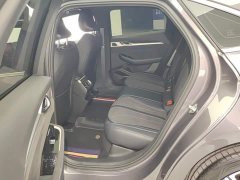 Geely Xingrui Oriental Radiance 2.0T Diesel Moonlight Edition - ფოტო 11