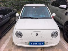 ORA Black Cat 301km Cute Pet Edition LFP Battery - photo 2