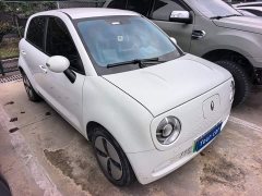 ORA Black Cat 301km Cute Pet Edition LFP Battery - photo 3