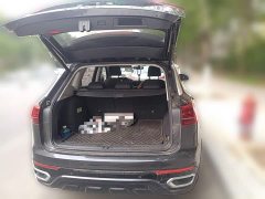Volkswagen Taos GTE Plug-in Hybrid Taos GTE 1.4T Luxury - фото 15