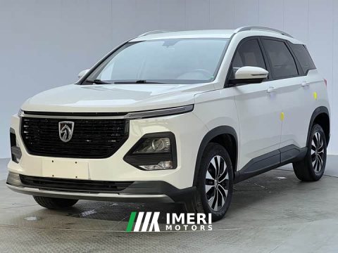 2021 Baojun 530 Global Edition Anniversary Edition 1.5T CVT Luxury 5-seater - car from China