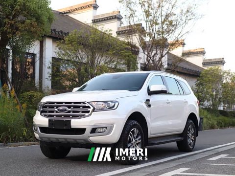 2021 Ford Haval H9 2.3T AWDLuxury Edition 7 - car from China