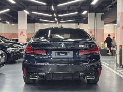 BMW 5 Series 530Li Premier M Sport Package - ფოტო 10