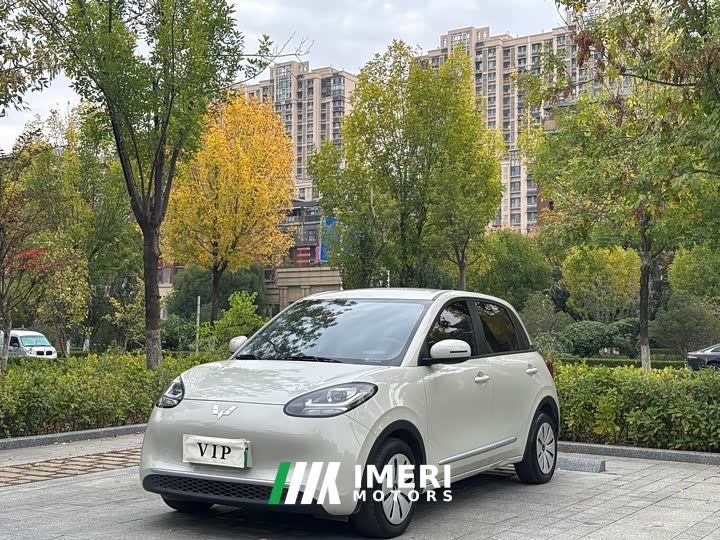 Wuling Binguo 203km Light Enjoy Edition