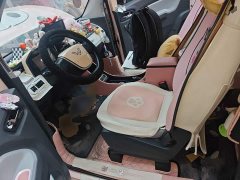 Wuling Hongguang MINIEV Macaron Fashion Edition LFP Battery - ფოტო 11