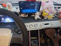 Wuling Hongguang MINIEV Macaron Fashion Edition LFP Battery - ფოტო 9