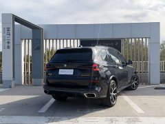BMW X5 xDrive 30Li M Sport Luxury Night Edition Package - фото 12