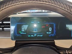 Geely Geometry E Firefly 401KM Lightning Tiger 5-Seater - ფოტო 11