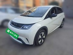 BYD Dolphin 420km Freedom Edition - ფოტო 1