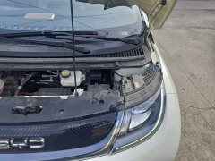 BYD Dolphin 420km Freedom Edition - ფოტო 18
