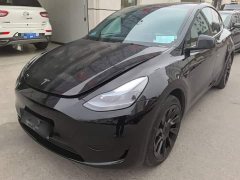 Tesla Model Y Rear-Wheel Drive - ფოტო 1