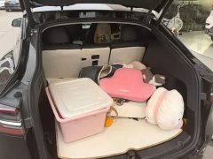 Tesla Model Y Rear-Wheel Drive - ფოტო 18